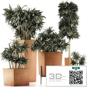 Plants Collection 33