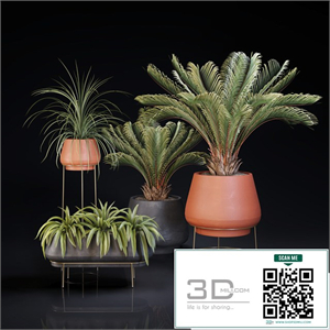 Plants collection 01