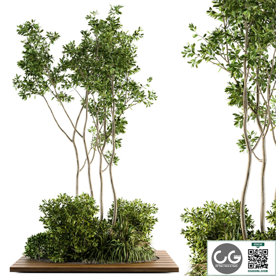 Garden set bush and Tree - Garden Set 04