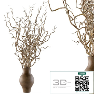 Bouquet Set 19 - Dried twisted branches