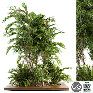 Garden set Tropical bush and Tree - Garden Set 05