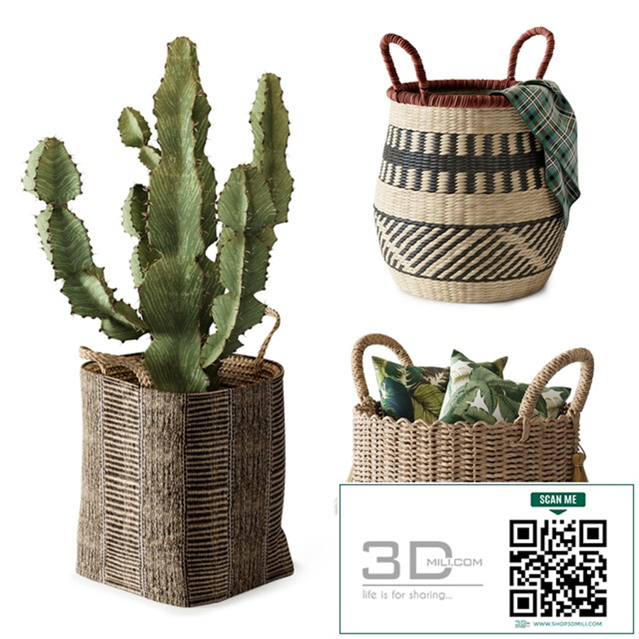 Baskets Set 01