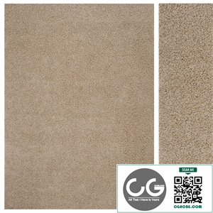 Plush Shag Area Rug
