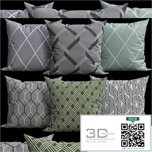 Decorative Pillows v010