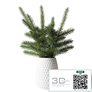 Bouquet of fir branches in a white vase