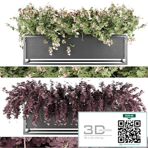 Collection plant vol 15