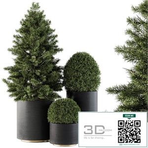 Outdoor Plants tree in Concrete Pot - Set 110