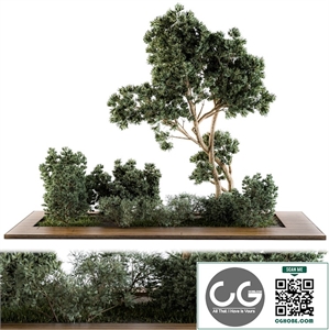 Garden set bush and Tree - Garden Set 06