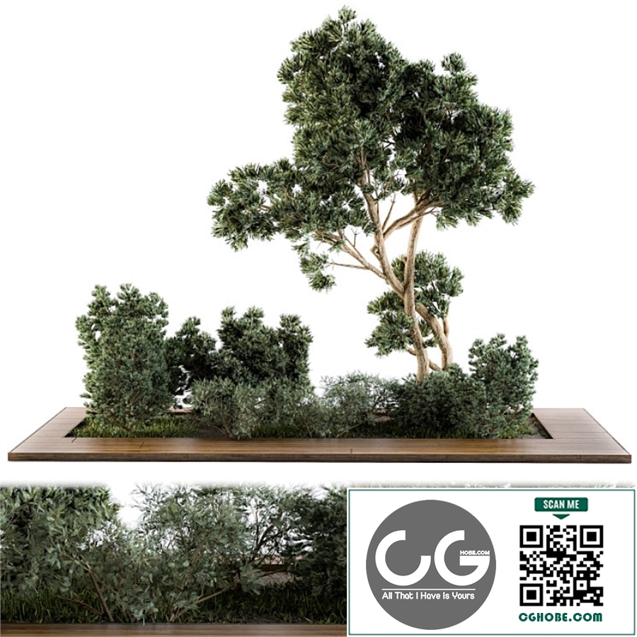 Garden set bush and Tree - Garden Set 06