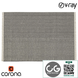 Chevron Woven Area Rug