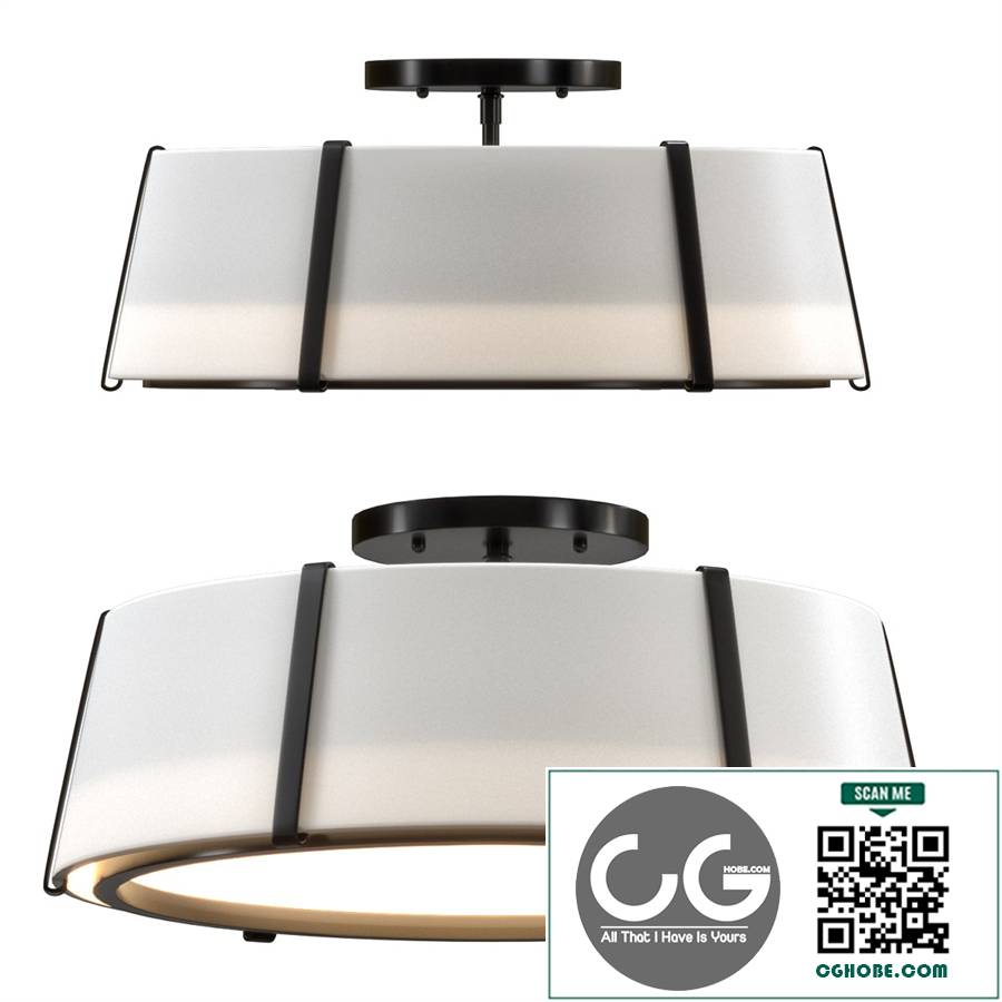 RING CONVERTIBLE CEILING LIGHT