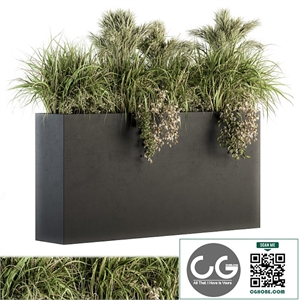 Outdoor Plants tree in Plant box - Set 124