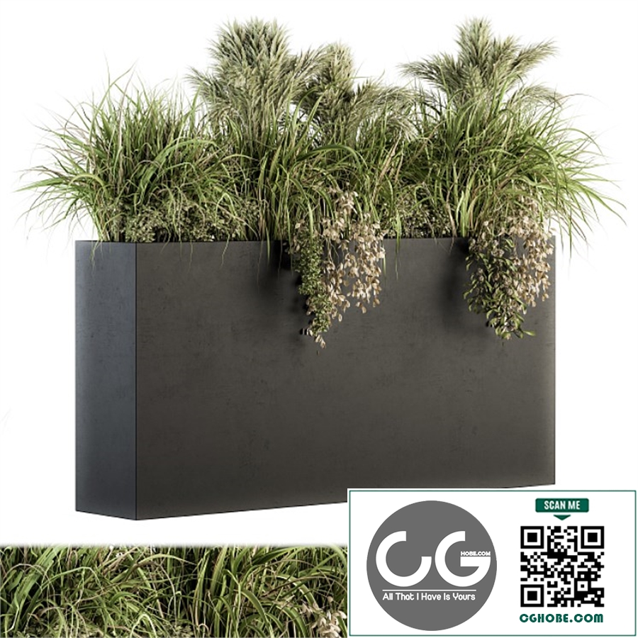 Outdoor Plants tree in Plant box - Set 124