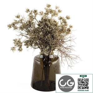 Bouquet - Dried Branch in vase 24