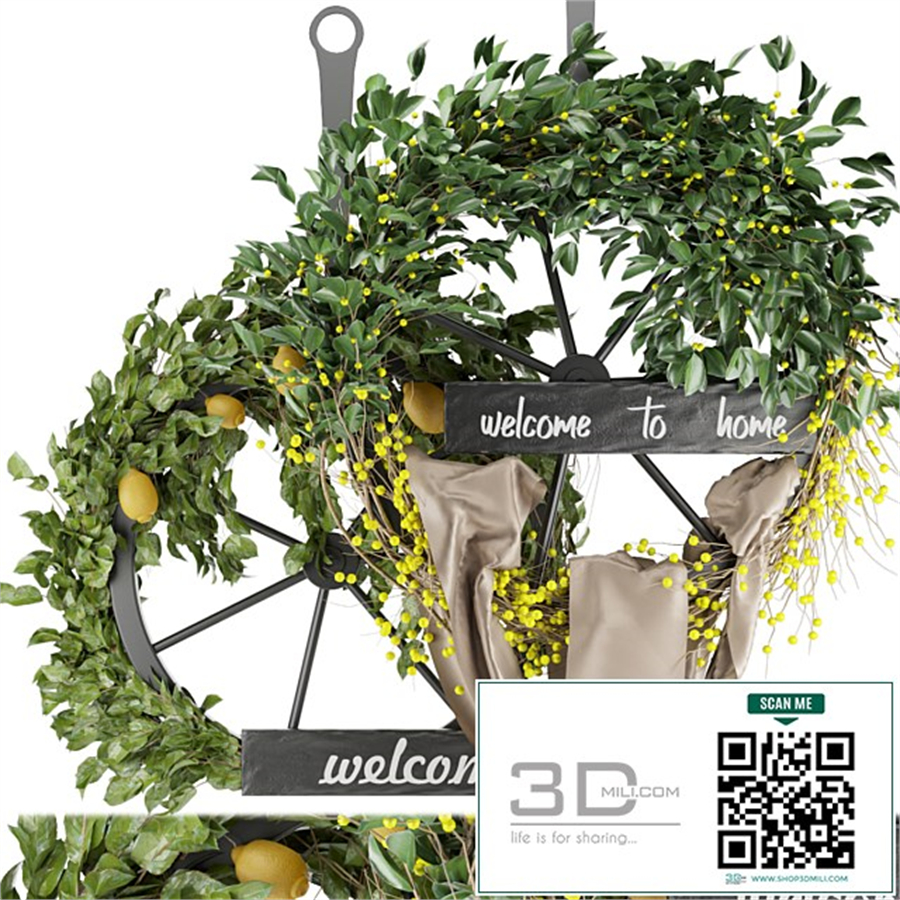 Collection plant vol 26