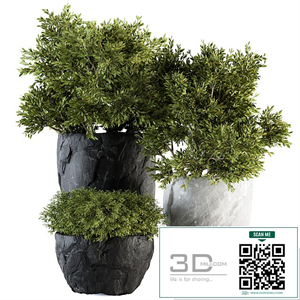 Outdoor Plants tree in Rock Pot - Set 136
