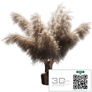 Dried plant
