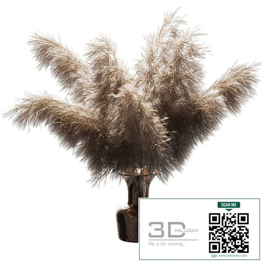 Dried plant