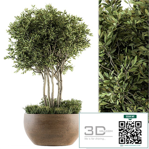 Outdoor Plants tree in Concrete Pot - Set 135