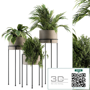 indoor Plant Set 129 - Plant Stand