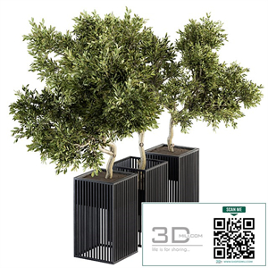 Outdoor Plants tree in Metal Pot - Set 134