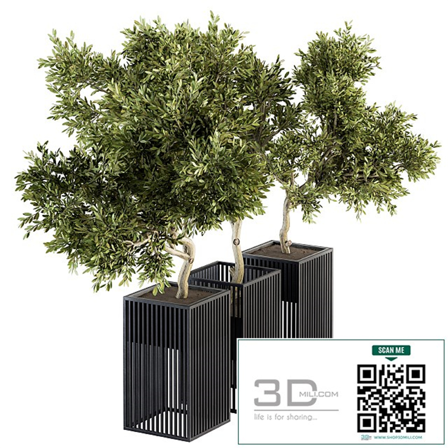 Outdoor Plants tree in Metal Pot - Set 134