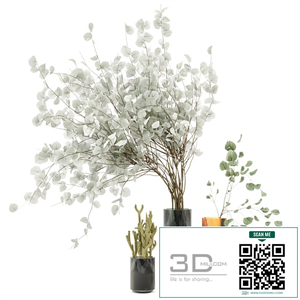 Indoor Plants Cactus & Eucalyptus whit Glass Pots - Set 38
