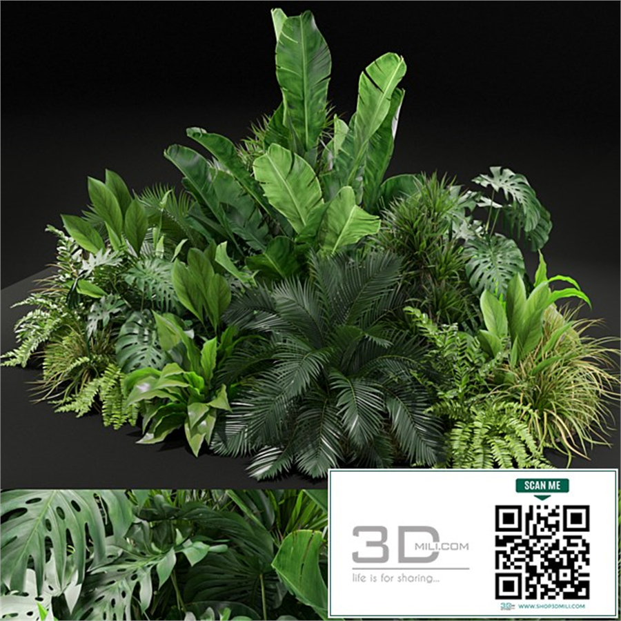 Plants collection 445