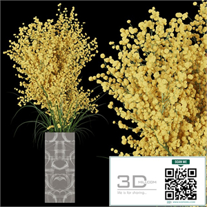 Collection plant vol 91