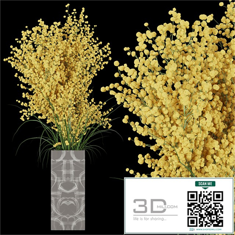 Collection plant vol 91