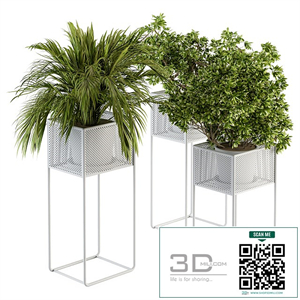 indoor Plant Set 174 - Plant in stand box