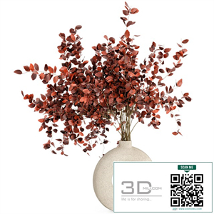 Indoor Plants in Concrete Pots - Set 66