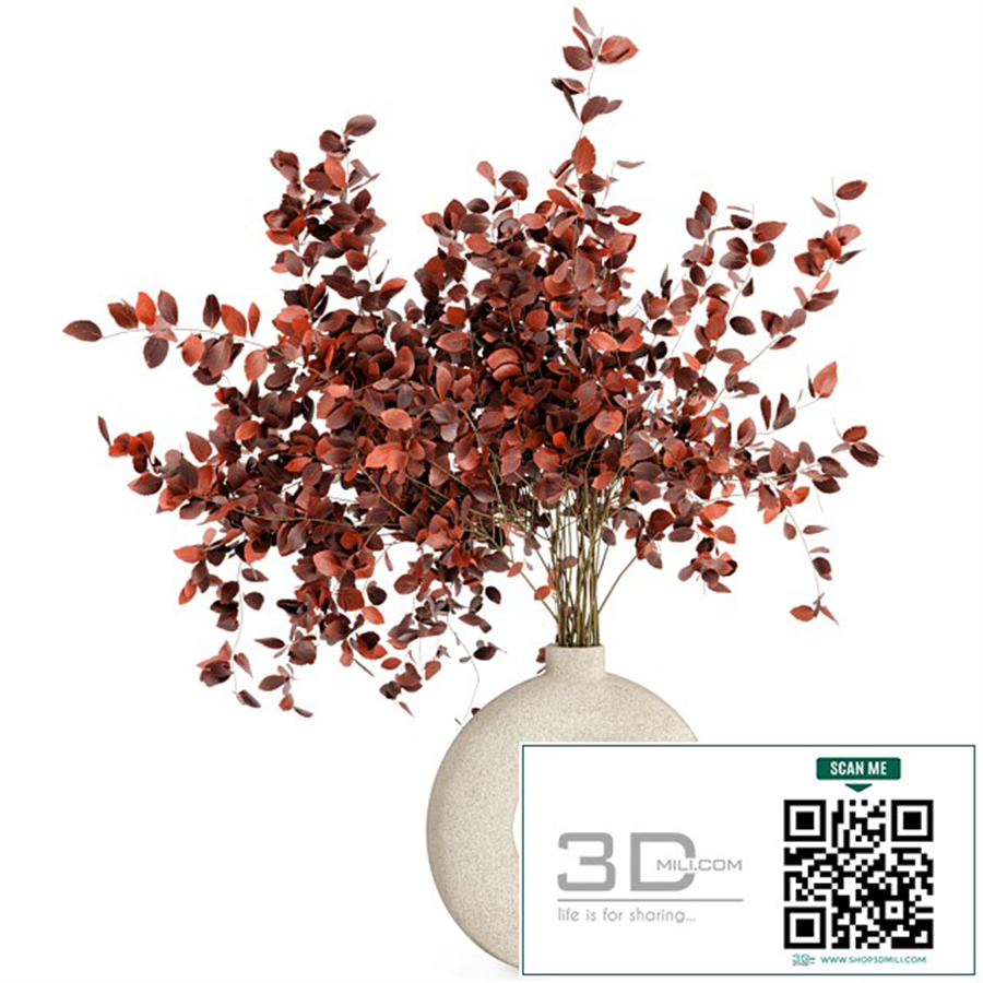 Indoor Plants in Concrete Pots - Set 66