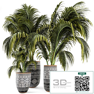 Outdoor Plants bush and Tree in rusty Cly Pot - Set 70