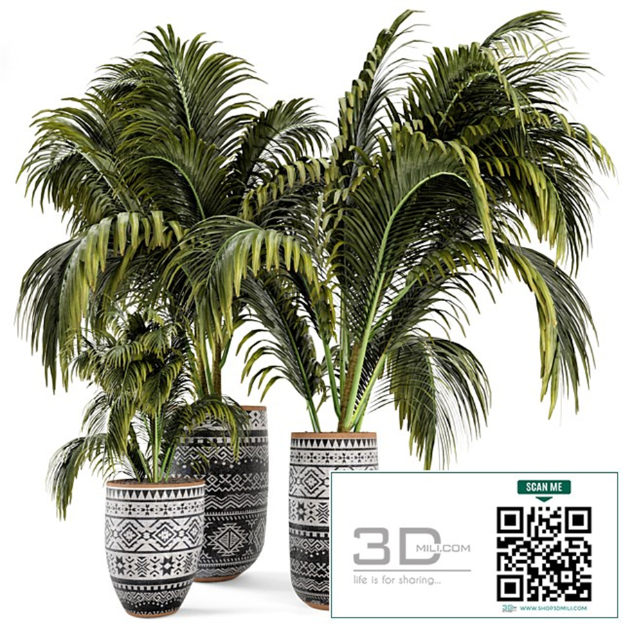 Outdoor Plants bush and Tree in rusty Cly Pot - Set 70
