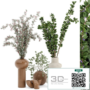 Indoor Plants in rusty Concrete Pots - Set 77