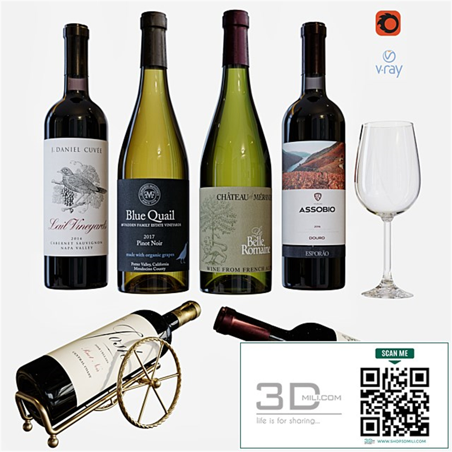 wine bottle set 11