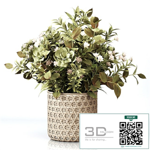Plants Bouquet 01