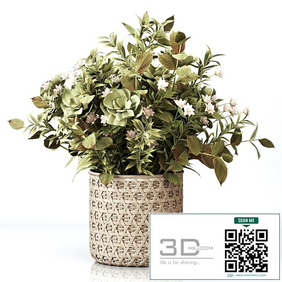Plants Bouquet 01