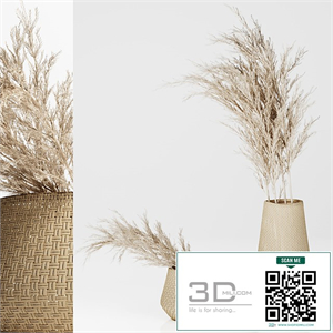 Dried Plants in Straw Baskets