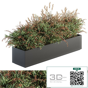 Outdoor Plant Set 166 - Plant Box Bush