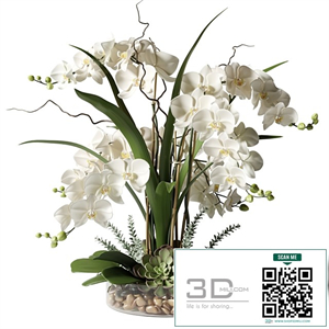 White orchids in a glass vase with stones