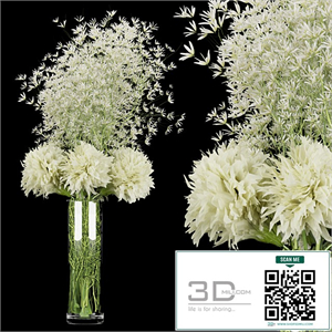 Collection plant vol 151