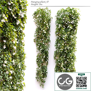 Hanging Plant 17