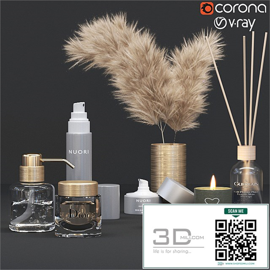 Bathroom Accessories Vol 1