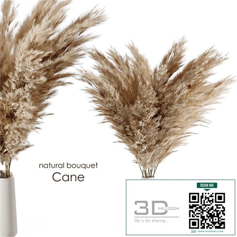 Natural cane bouquet