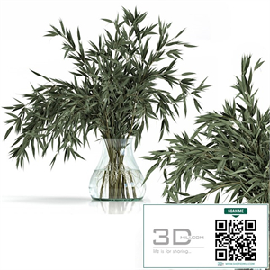 Green Branch in vase - Bouquet 003