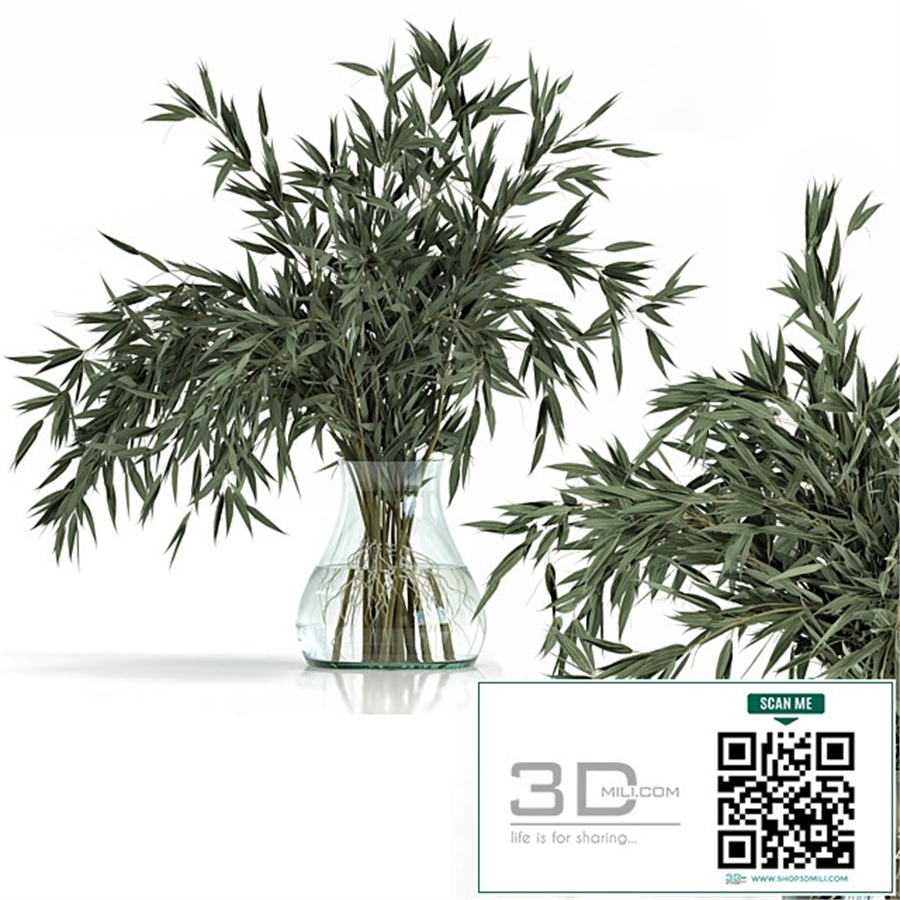 Green Branch in vase - Bouquet 003