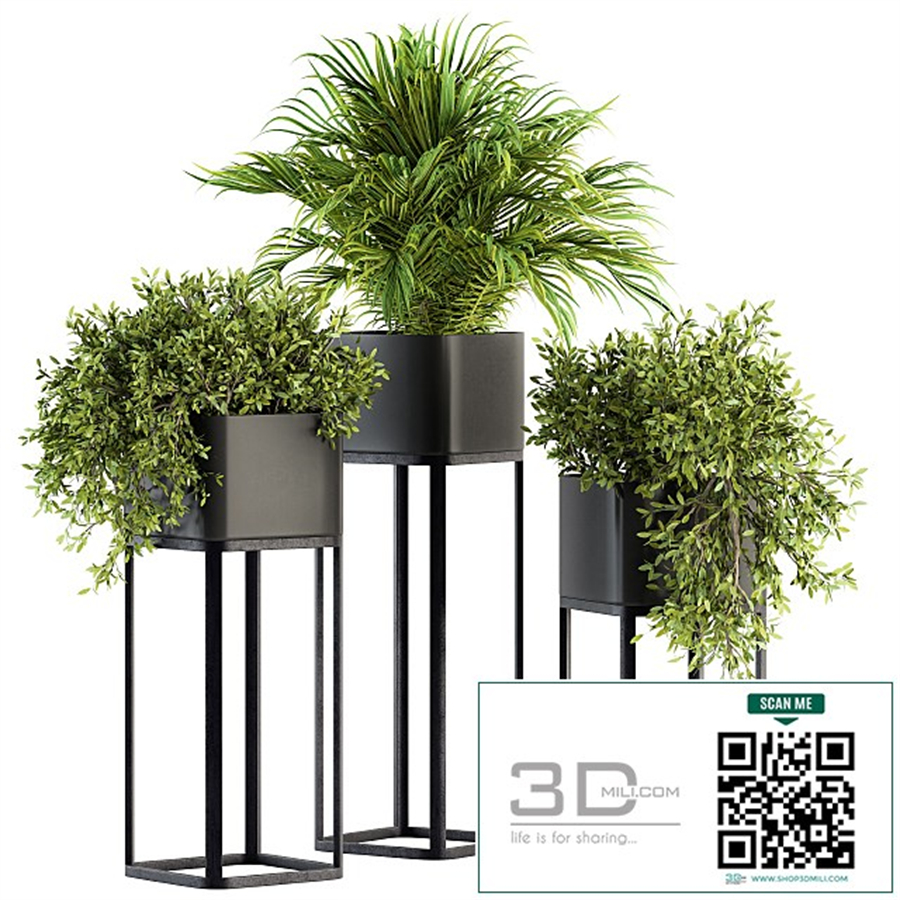 indoor Plant Set 211 - Plant Box Stand