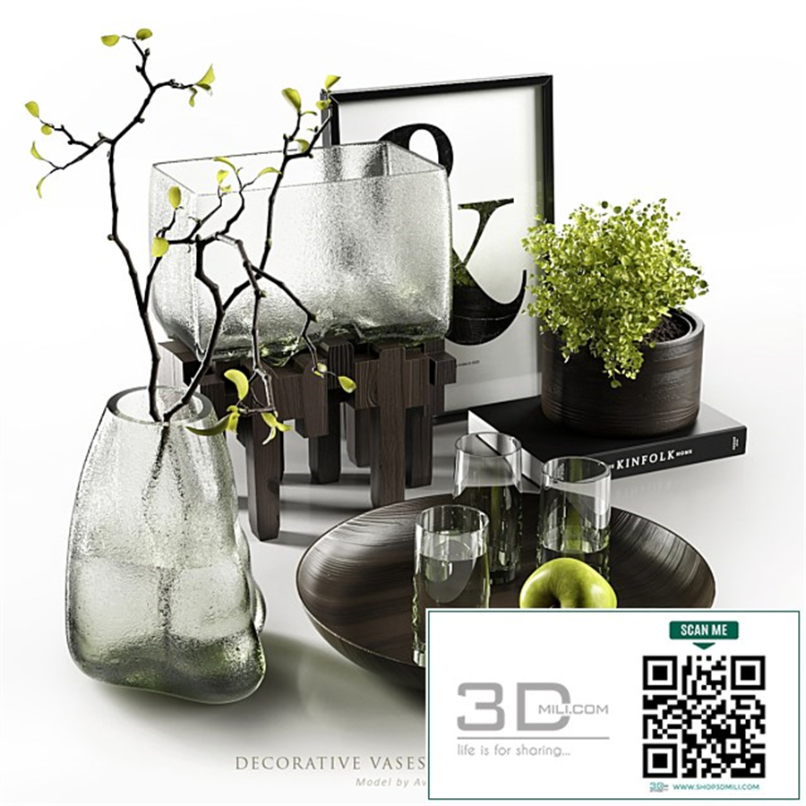 Decorative vases with plants
